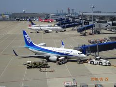 まずは、セントレアから成田空港まで、ＡＮＡ３４０便１４：４０発のこの飛行機で向かいます