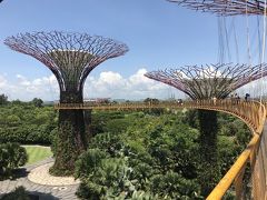 せっかくなのでツリーの間の空中回廊（OCBCスカイウェイ）に登りました。