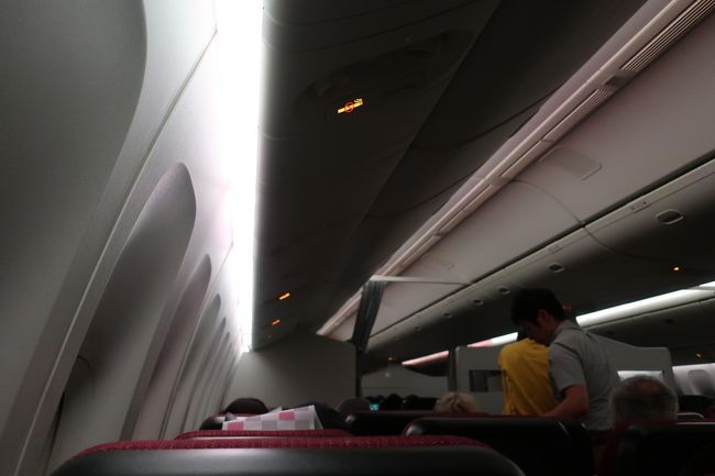 深夜着の便なので、シンガポール在住の方が多いのかと思っていましたが、そうでもないようです。<br />意外と日本人の観光客も多かったのが驚きでした。<br /><br />