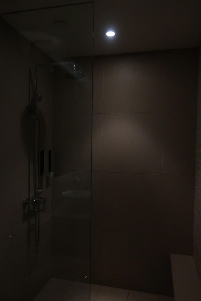 薄暗くて申し訳ないですが、<br />シャワールームです。<br />なんかシャワールームのほうが部屋よりも大きいのでは・・・