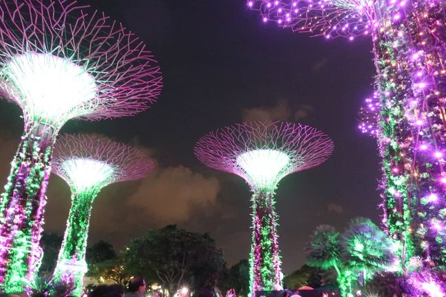 ガーデンズバイザベイのライトショーを楽しみ