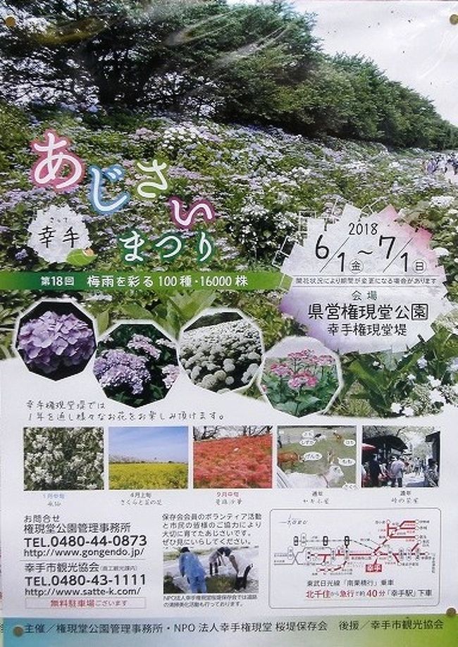 花紀行 幸手権現堂堤のあじさい祭り 幸手 久喜 栗橋 埼玉県 の旅行記 ブログ By いっちゃんさん フォートラベル 花紀行 幸手権現堂堤のあじさい祭り 幸手 久喜 栗橋 埼玉県 の旅行記 ブログ By いっちゃんさん フォートラベル