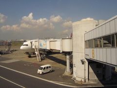 JAL907便　羽田は定刻でしたが、那覇空港が混雑しているとのことで11:30着の予定が５分位遅れました。
約2時間半のフライト。機内には空席もチラホラ。富士山見ようと思って右窓際に席を取ったけど、見損ねてしまいました。

はじめての沖縄。６月ということもあり、蒸し暑いが第一印象。
