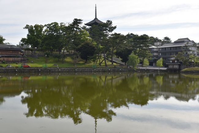 猿沢の池。亀で有名だったり、天女の羽衣に似た話があったりする。向こうに見えるのは興福寺五重塔。