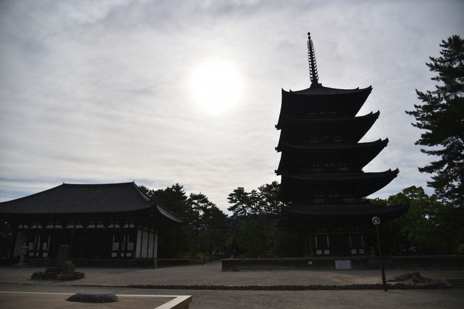 興福寺五重塔と東金堂。
