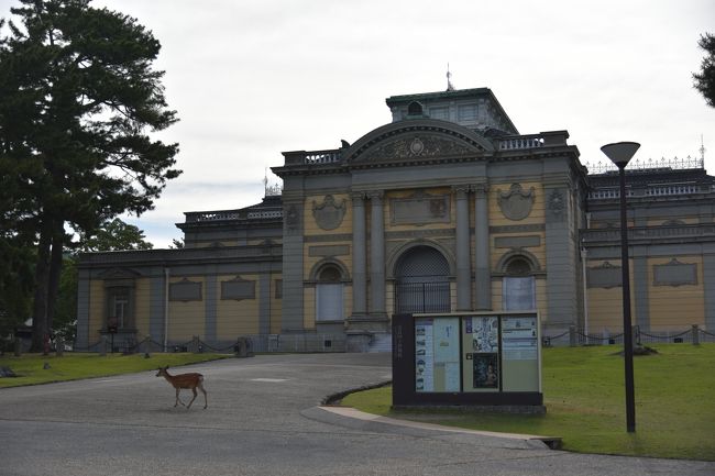 興福寺を抜けて東へ（若草山方向へ）行くと奈良国立博物館がある。昔はここが入り口だったのだろうが、今の入り口はもう少し先にある。