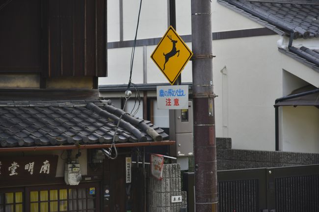 鹿飛び出し注意の道路標識。ここの南明堂もかなり古い。