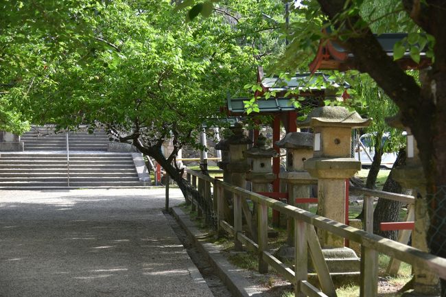 氷室神社の境内。