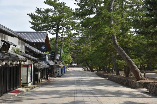 大仏殿交差点から北を向いたところ。左にあるのは土産物屋など。正面が南大門。昔は鹿のフンだらけだった覚えがあるが、とてもきれい。毎日掃除をしているのだろう。