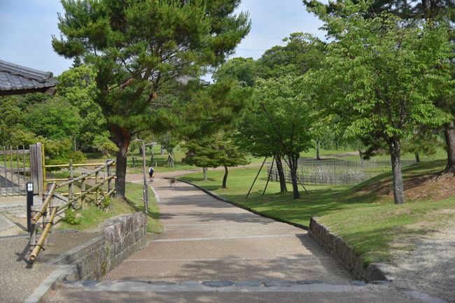 この道を降りていく。