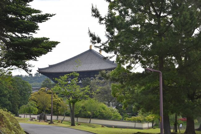 戒壇院を出たところ。東大寺大仏殿を西から見たところ。