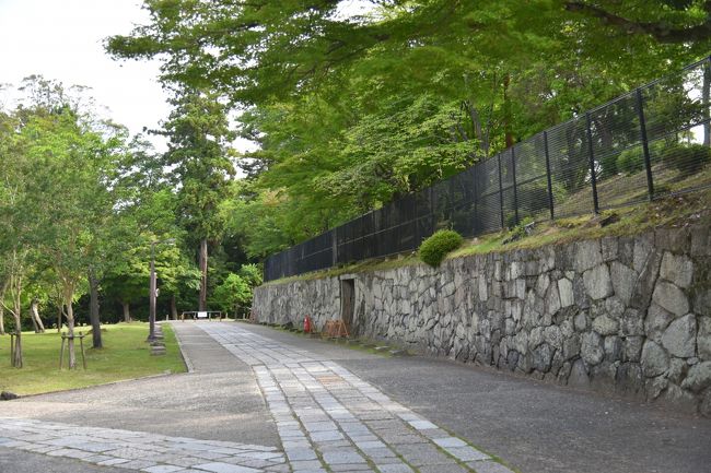 東大寺大仏殿の西側を通って北側に出る。