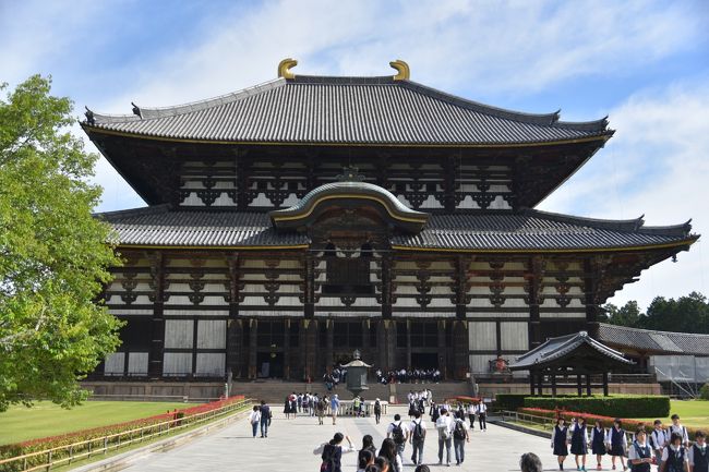 大仏殿に入ったところ。8:30でこのぐらいの人がいる。