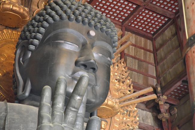 改めて見ると、手の指を開いているといえば開いているといえるような気がしてきた。