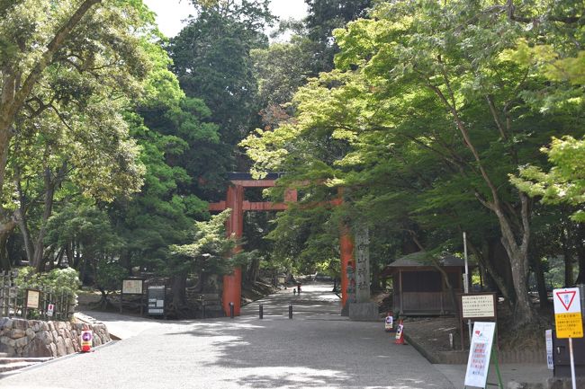 東大寺大仏殿の出口は、南東側にある。出て左側が手向山神社の鳥居。手向山八幡宮へは、本当はここを通って行くべき。