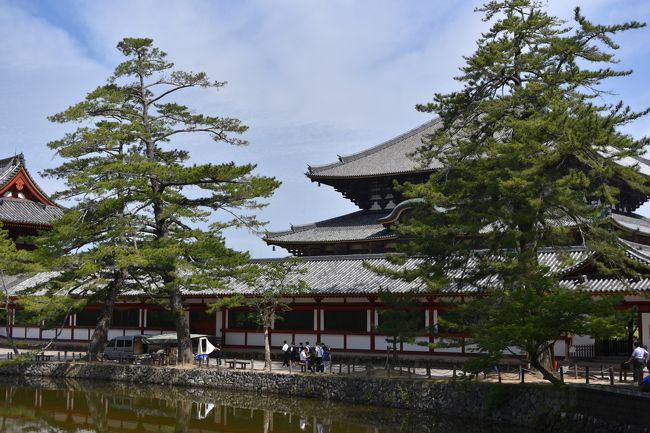鏡池の東側から大仏殿を臨む。