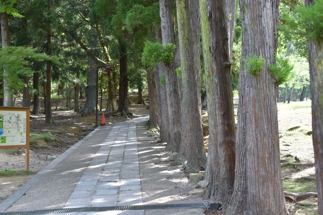 ほんと、きれいに掃除されている。