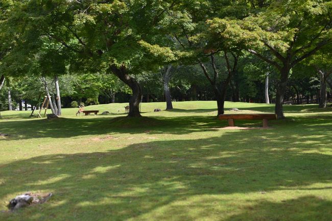 春日野に戻った。散策はこれでおしまいです。