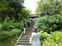 明月院から、歩いてい10分ほどで、東慶寺へ。拝観料200円を納めて境内へ。