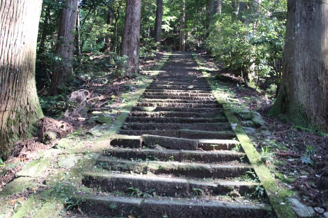 浮浪の滝に向う石段道