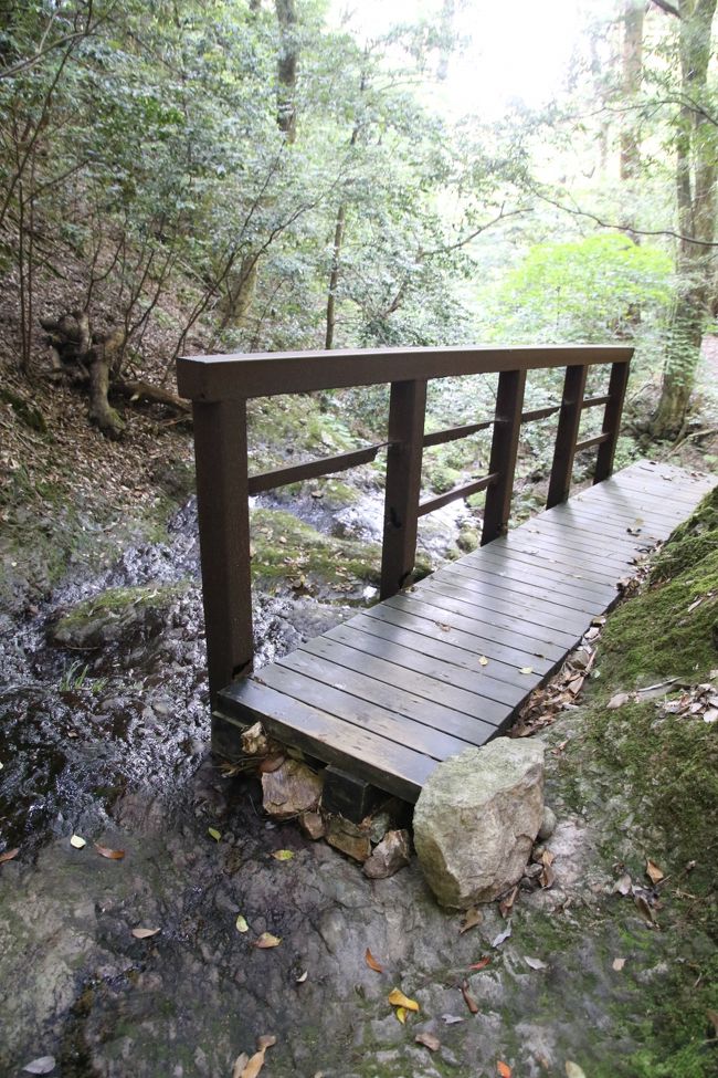 この先に浮浪の滝があります。