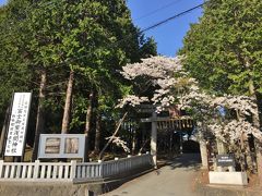 ≪冨士御室浅間神社≫ 「本宮」は699年富士山吉田口登山道二合目に藤原義忠により奉斎された富士山最古の社で、ここに建つのは958年創建の「里宮」。戦国時代には甲斐武田家三代の崇敬を受け、特に信玄が長女のために奉納した『安産祈願状』が有名。
