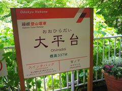 今日は撮影スポットのある大平台へ♪
