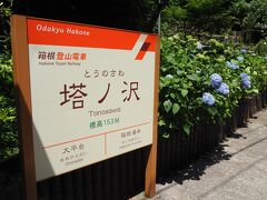 さて、大平台駅にてあじさいを見たので、箱根湯本駅手前の塔ノ沢駅にも立ち寄りました♪
塔ノ沢駅には駅内に、銭洗弁天があります