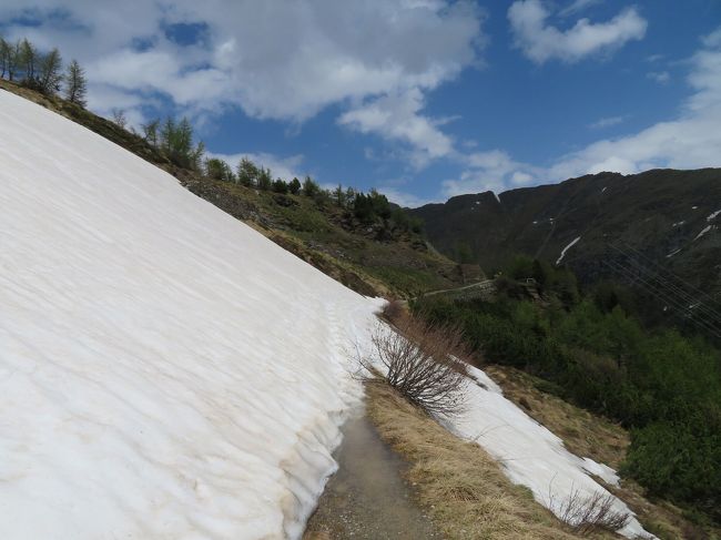 一部雪渓の中を歩いていく