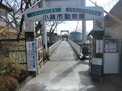 小諸市動物園。
大正15年4月20日に開園した、長野県で最も歴史のある動物園です。
懐古園と入場券共通で入れます。
見学していきましょう。