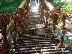 3【祖谷のかずら橋】
〒778-0102 徳島県三好市西祖谷山村善徳１６２-２

※かずら橋近く1番安い駐車場 Ｐ300円
〒778-0102 徳島県三好市西祖谷山村善徳162-1

かずら橋通行料金
大人：550円 小人：350円