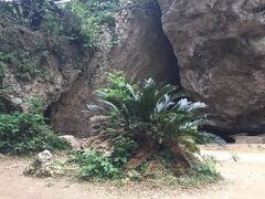 中本鮮魚店をあとにして、斎場御嶽へ向かいました。
前回、やっぱり沖縄に来たのだから、沖縄の神様には最初に挨拶した方が良いのかしらっと思っての訪問でした。
前回は午前11時頃に伺いました。
今回は夕方の4時くらいです。
