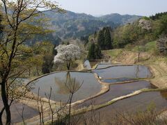 国道沿いにたくさんの車が止まっていて、お目当てはこれ

この場所しか開いてなくて(*´Д｀)

手前の草が邪魔なんですけど・・・