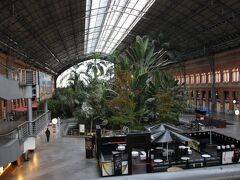 プエルタ・デ・アトーチャ駅。旅番組で必ず紹介される植物園みたいな駅ですが、植物にはホコリが積もっていて、美しくありません。