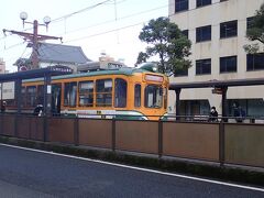 頻繁に電車が行きかいます。