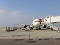 今回あたった航空券は羽田７時５分→徳島８時１５分の朝一番の便。
朝早いので蒲田のカプセルホテルに泊まって、６時半に羽田へ。
徳島空港は小さい空港なので、乗ってきた飛行機が目の前に。