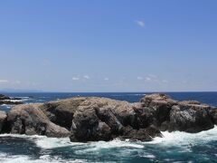 ウミネコの繁殖地「経島」・・・良く見ると島全体がウミネコの糞で白くなっているのがわかります。