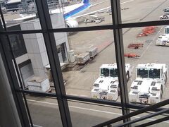 昼過ぎの成田空港はたまたまかもしれませんが、ほかに到着便もなくガラガラでした。やや長い旅行でしたが終了です。