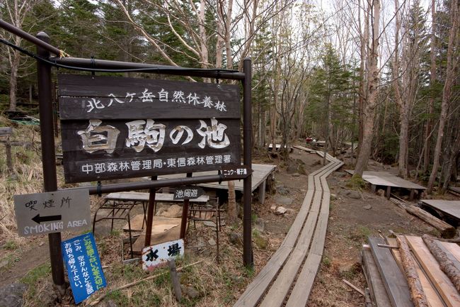 白駒池テント泊と美ヶ原ドライブ 山梨県の旅行記 ブログ By Tetu99samayoさん フォートラベル