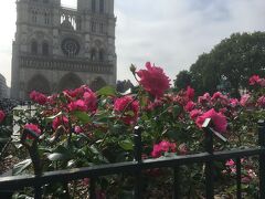 パリ2日目は8時から開いているノートルダム寺院から。
4年前はテロの直後のためこのあたりの警備が一番すごく、装甲車が並んでいました。手荷物検査にも時間がかかっていたのか、朝から長蛇の列であきらめました。
今回はのどかです。