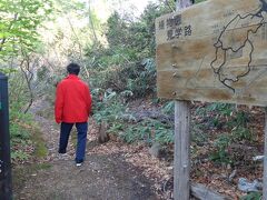 お尻が饅頭のようにふかふかになったので
渓流に架かる木橋を渡って、東北大学の植物園へ

この園は、柵も入口もありません。もちろん無料です。
流石、東北大学　!
