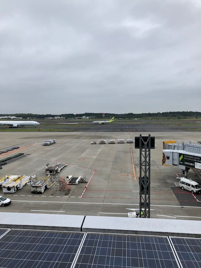 暇なおばちゃん2名は一足早く10時50分発のジンエア202。<br />ちっちゃな飛行機がやたら滑走路を迷走中（笑）<br />予想通り仁川到着は40分遅延だったとの事。