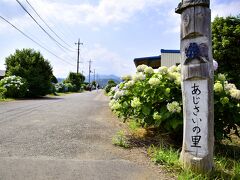 そんなこんなでえっちらおっちらと歩き続けて、ようやく「開成あじさいの里」に到着です
当日現地の炎天下の影響も相成って、ガチのマジで疲れた～(；￣д￣)
（因みに、意外と現地周辺には飲食店や自販機等がありませんので、ドリンク類は事前に用意して訪れたほうがよいかも・・・少し離れたところにコンビニがありましたがｗ）