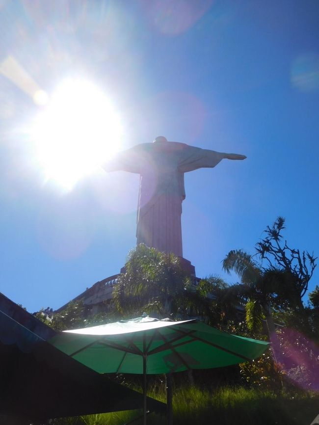 後ろ姿では逆光ですね。ということは正面では期待が持てます。