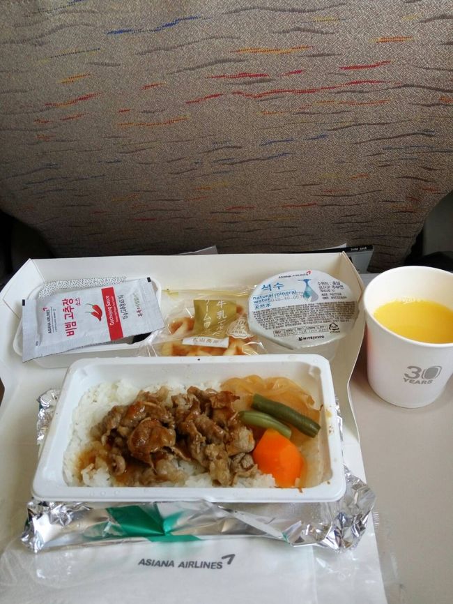 短距離路線で暖かいミールが出るだけでも良しなのでしょうが、<br />このすき焼き風。黒ごま豆腐。ワッフル。<br />トレーでの機内食提供をなくしてから全く同じメニュー。<br />コーラもペットボトルから氷なしのサーブ。<br />経費削減なのでしょうが昔のアシアナは良かったのに残念です。<br />