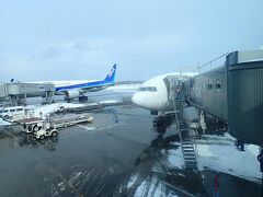 やって来たのは「愛が飛び立つ北空港♪」
新千歳空港は雪が残っているものの晴れていました。