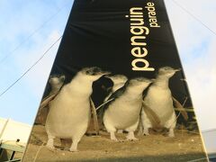 2018.05.31　ペンギン・パレード
　General Viewing - $26.20
　Penguins Plus - $52.50
　Underground Viewing - $67.50
　Guided Ranger Tour - $82.50