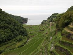 13時 浜野浦の棚田 (棚田百選)