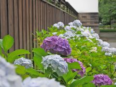 府中市郷土の森博物館