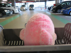 羽田に到着。駐車場へ。
ピンクの後ろ姿は、今回の旅で我が家の一員となったイルカちゃんです。
旅行に行く度に増えるので困りものですが(笑)

今回の旅行記はここまでです。
家族旅行のため、どうしても撮っている写真は人（家族）が写っているものが多くて、こうやって記録に残そうとするとあまり使える写真がないことに気が付きました。
もう少し、風景とかその時の雰囲気がわかるものも撮っておきたいですね。

なにはともあれ、大好きな沖縄に今年も家族で行って、無事に帰ってくることができました。
拙い旅行記ですが、最後までお読みくださりありがとうございました。
どなたかの参考になれば幸いです。